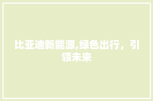 比亚迪新能源,绿色出行，引领未来
