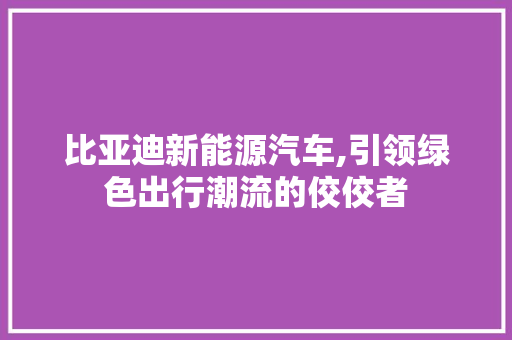 比亚迪新能源汽车,引领绿色出行潮流的佼佼者