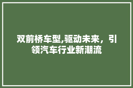 双前桥车型,驱动未来，引领汽车行业新潮流