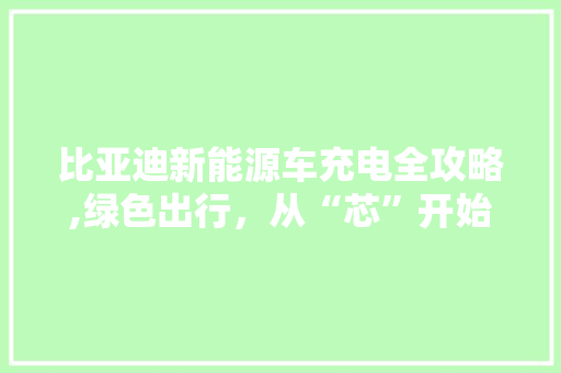 比亚迪新能源车充电全攻略,绿色出行，从“芯”开始