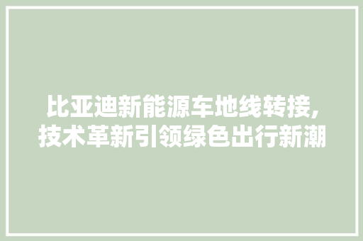 比亚迪新能源车地线转接,技术革新引领绿色出行新潮流