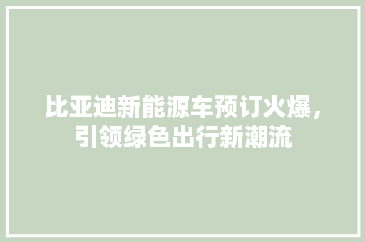 比亚迪新能源车预订火爆，引领绿色出行新潮流