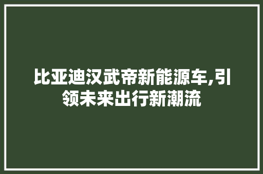 比亚迪汉武帝新能源车,引领未来出行新潮流