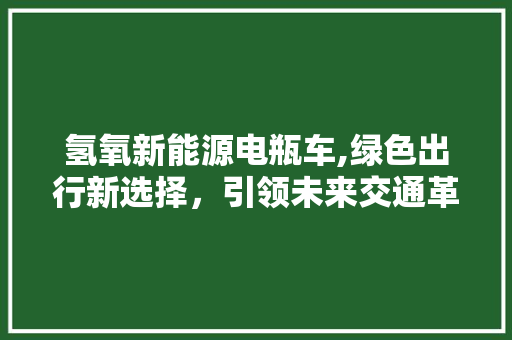 氢氧新能源电瓶车,绿色出行新选择，引领未来交通革命