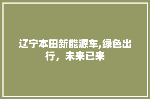 辽宁本田新能源车,绿色出行，未来已来