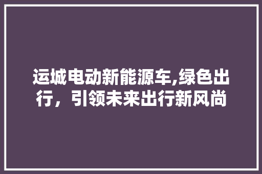 运城电动新能源车,绿色出行，引领未来出行新风尚
