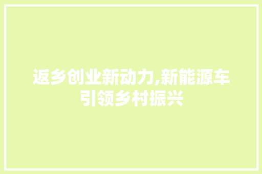 返乡创业新动力,新能源车引领乡村振兴 蓄电池配件