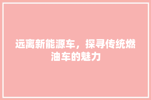 远离新能源车，探寻传统燃油车的魅力