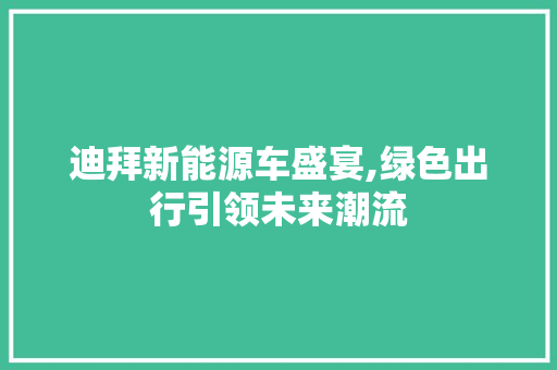 迪拜新能源车盛宴,绿色出行引领未来潮流
