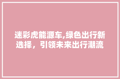 迷彩虎能源车,绿色出行新选择，引领未来出行潮流