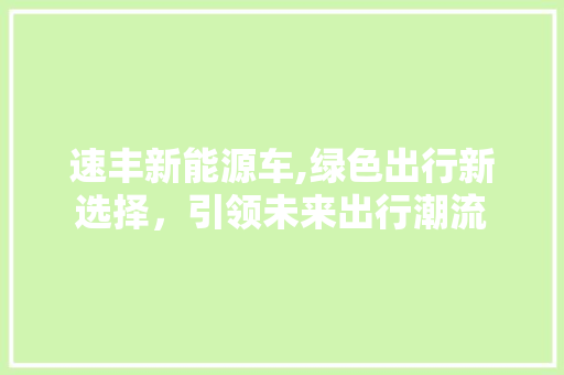 速丰新能源车,绿色出行新选择，引领未来出行潮流