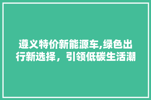 遵义特价新能源车,绿色出行新选择，引领低碳生活潮流