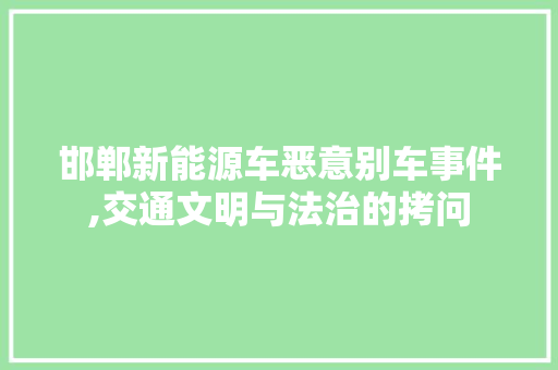 邯郸新能源车恶意别车事件,交通文明与法治的拷问