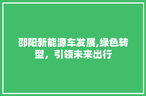 邵阳新能源车发展,绿色转型，引领未来出行