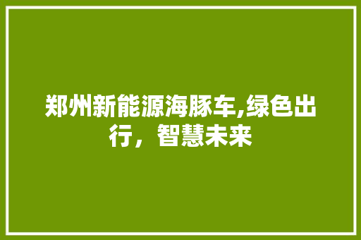 郑州新能源海豚车,绿色出行，智慧未来