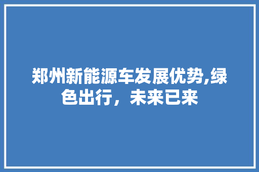 郑州新能源车发展优势,绿色出行，未来已来