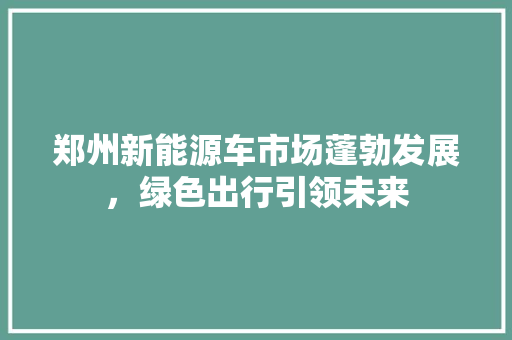 郑州新能源车市场蓬勃发展，绿色出行引领未来