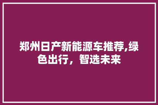 郑州日产新能源车推荐,绿色出行，智选未来
