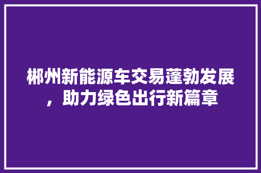 郴州新能源车交易蓬勃发展，助力绿色出行新篇章
