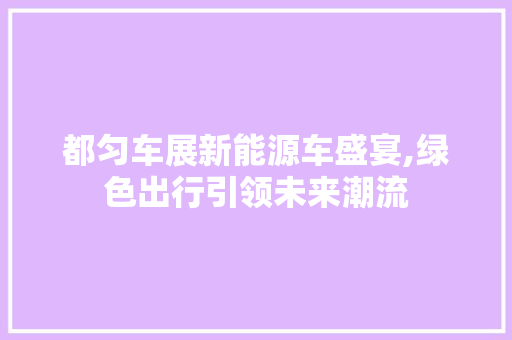 都匀车展新能源车盛宴,绿色出行引领未来潮流