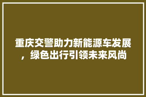 重庆交警助力新能源车发展，绿色出行引领未来风尚