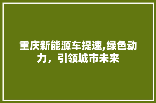 重庆新能源车提速,绿色动力，引领城市未来