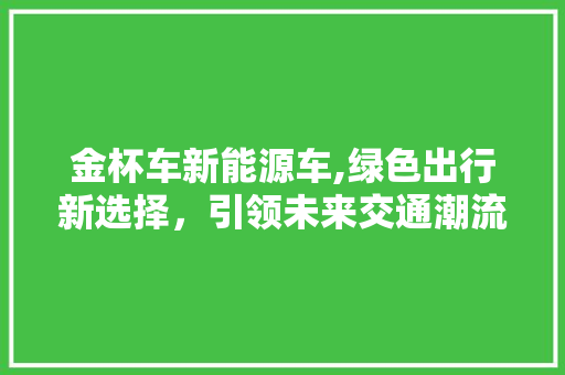 金杯车新能源车,绿色出行新选择，引领未来交通潮流