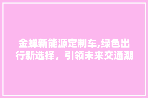 金蝉新能源定制车,绿色出行新选择，引领未来交通潮流
