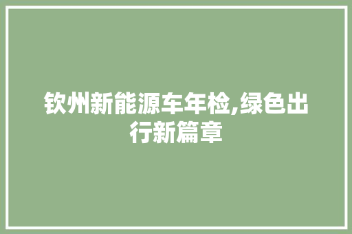钦州新能源车年检,绿色出行新篇章 新能源汽车