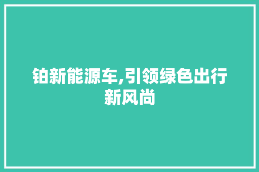 铂新能源车,引领绿色出行新风尚
