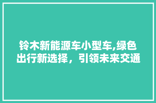 铃木新能源车小型车,绿色出行新选择，引领未来交通潮流