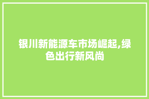 银川新能源车市场崛起,绿色出行新风尚