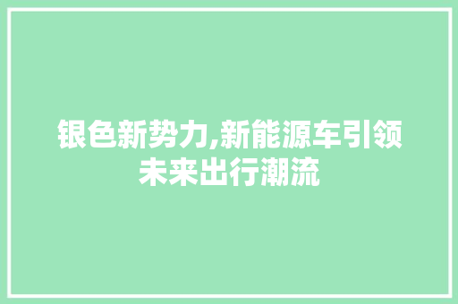 银色新势力,新能源车引领未来出行潮流