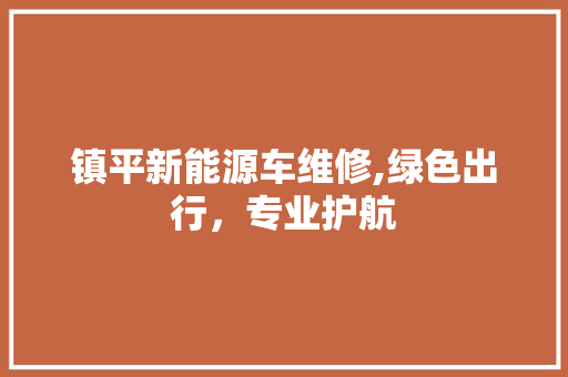 镇平新能源车维修,绿色出行，专业护航