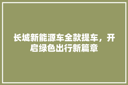 长城新能源车全款提车，开启绿色出行新篇章
