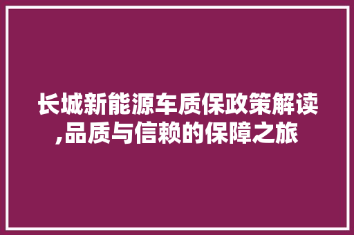 长城新能源车质保政策解读,品质与信赖的保障之旅