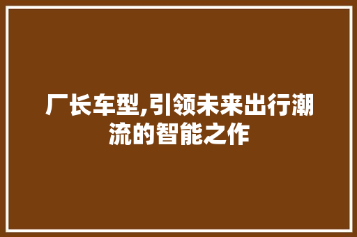 厂长车型,引领未来出行潮流的智能之作