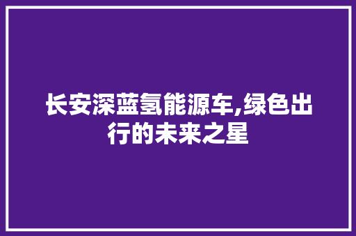 长安深蓝氢能源车,绿色出行的未来之星
