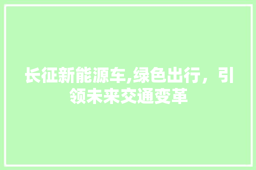 长征新能源车,绿色出行，引领未来交通变革