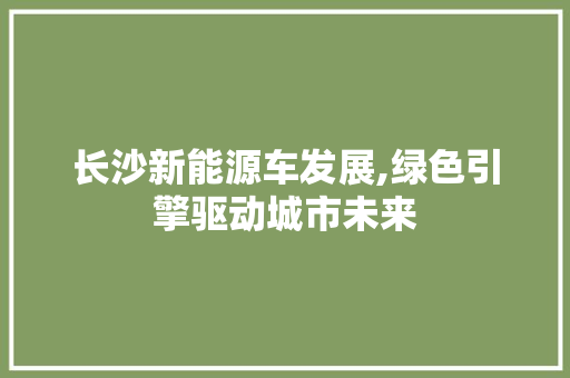 长沙新能源车发展,绿色引擎驱动城市未来