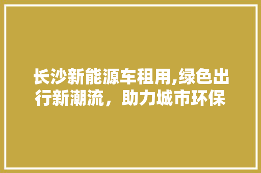 长沙新能源车租用,绿色出行新潮流，助力城市环保