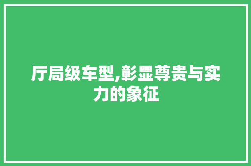 厅局级车型,彰显尊贵与实力的象征