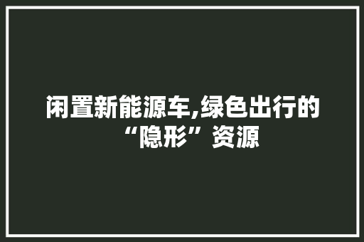 闲置新能源车,绿色出行的“隐形”资源