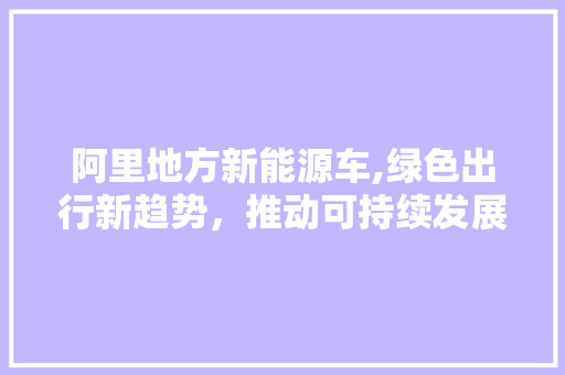 阿里地方新能源车,绿色出行新趋势，推动可持续发展
