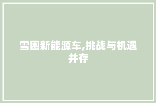 雪困新能源车,挑战与机遇并存