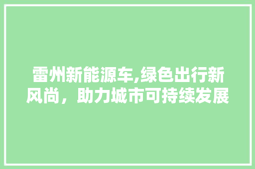 雷州新能源车,绿色出行新风尚，助力城市可持续发展