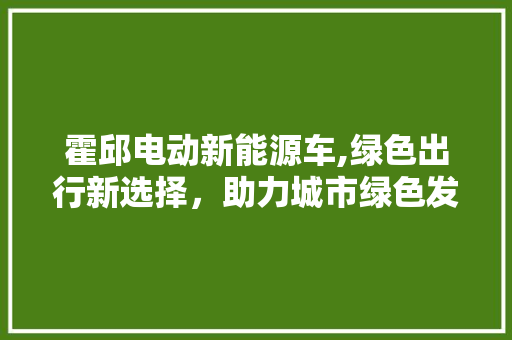 霍邱电动新能源车,绿色出行新选择，助力城市绿色发展