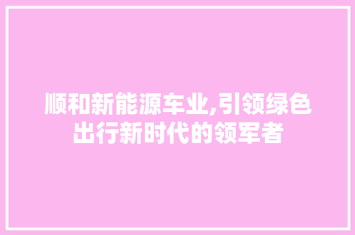 顺和新能源车业,引领绿色出行新时代的领军者