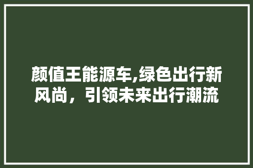 颜值王能源车,绿色出行新风尚，引领未来出行潮流