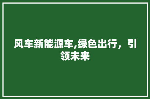 风车新能源车,绿色出行，引领未来